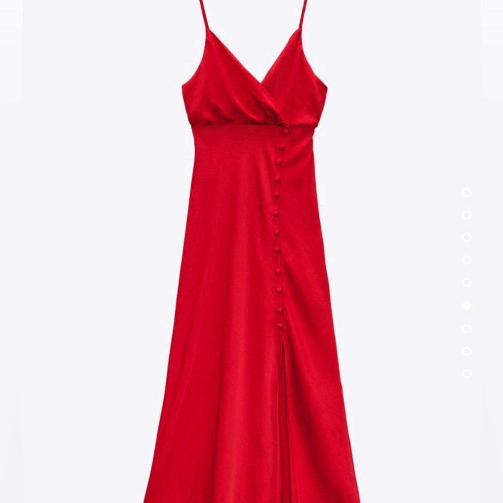 Zara dress